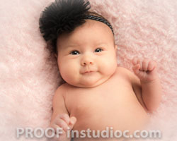 1 / 31 / DSC_6114-Edit